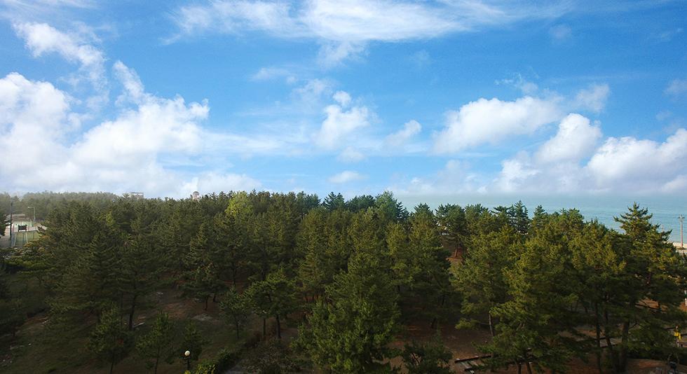 Jumunjin Resort Gangneung Exterior photo