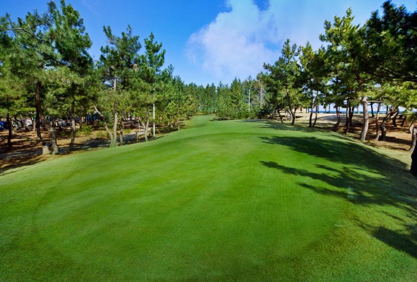 Jumunjin Resort Gangneung Exterior photo